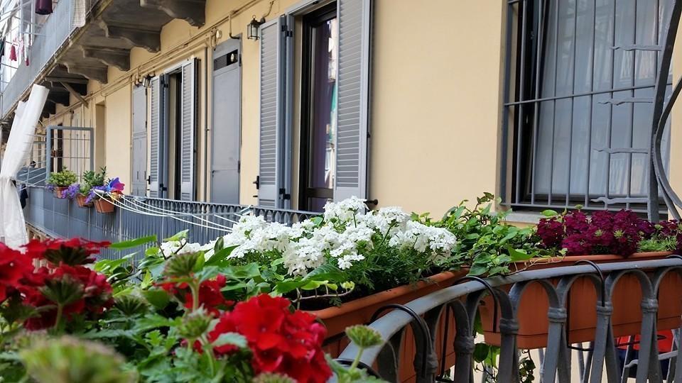 토리노 Al Piperita B&B 외부 사진